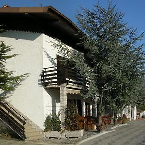 Turisticna Kmetija Birsa Villa Dobravlje Exterior photo