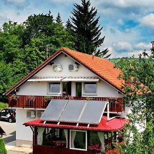 House Marija B&B Selište Drežničko Exterior photo