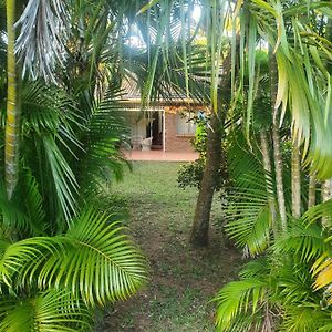 Whispering Palms St Lucia Appartement Exterior photo