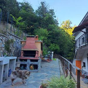 The Giaggiolo'S House Appartement Serra Rocco Exterior photo