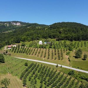 Kljajevica Orchard Pension Pljevlja Exterior photo