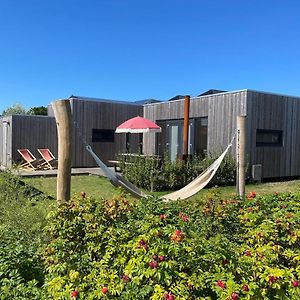 WAD NOU Terschelling heerlijk duurzaam chalet! Villa Midsland Exterior photo