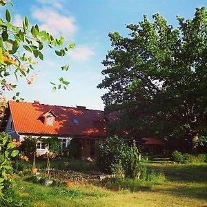 Agro - Dom Wsrod Lasow Hotel Trzcianka Exterior photo