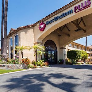 Best Western Plus Newport Mesa Inn Costa Mesa Exterior photo