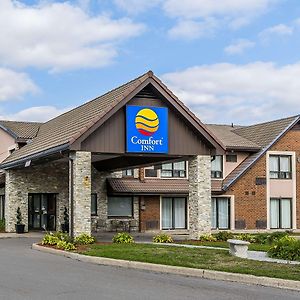 Comfort Inn Barrie Exterior photo