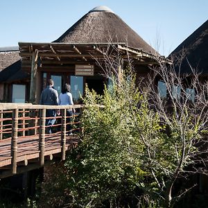 Buffelsdrift Game Lodge Oudtshoorn Exterior photo