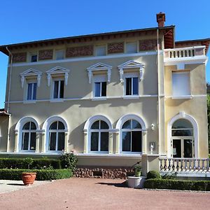 Chateau Blanchard Hotel Chazelles-sur-Lyon Exterior photo