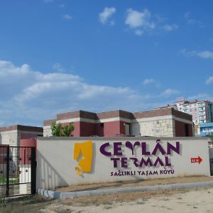 Ceylan Termal Saglikli Yasam Koyu Villa Eskişehir Exterior photo