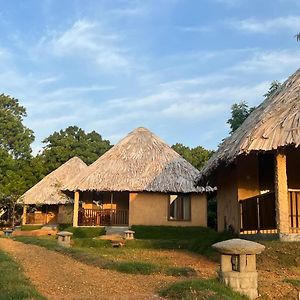 Saffron Lake Yala Hotel Tissamaharama Exterior photo