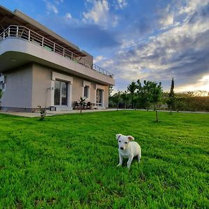 Hilltop Hideaway Bed and Breakfast Elbasan Exterior photo