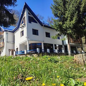 Hotel Parc Geoagiu Băi Exterior photo