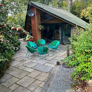 The Shed . A Cosy, Peaceful, 96% Recycled, Chalet. Appartement Swansea Exterior photo