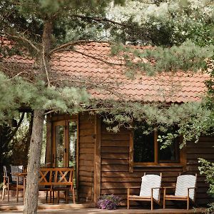 Berzu Namelis - Birch Cabin Villa Kutsyuny Exterior photo