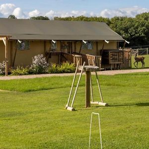 Luxury Safari Lodge Surrounded By Deer!! 'Fallow' Crediton Exterior photo