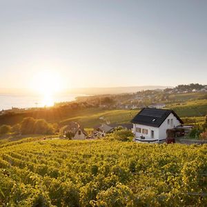 #Lavaux Hotel Lutry Exterior photo