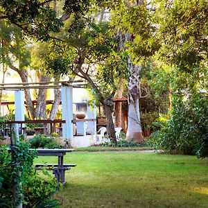 Rosedale Organic Farm Bed & Breakfast Bed and Breakfast Addo Exterior photo