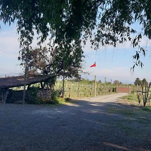 El Carmen De Los Guindos, Las Choicas, Curico Pension Exterior photo