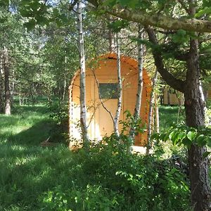 Glamping Pod Im Wald Mit Hund Hotel Nordholz Exterior photo