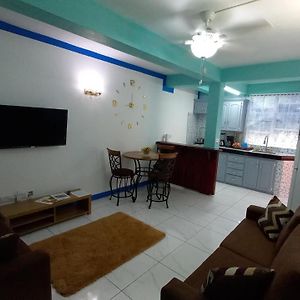 Cozy Vacation Retreat With Free Parking Appartement Roseau Exterior photo