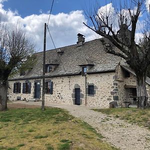 Maison Typique Auvergnate, Piscine Et Four A Pain Villa Saint-Christophe-Les-Gorges Exterior photo