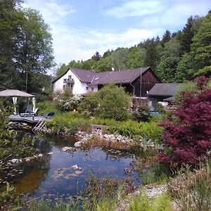 Urlaubspension Die Muehle Hotel Schöllnach Exterior photo