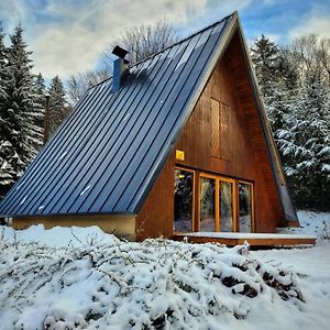 Chata Pod Tolstejnem Villa Jiřetín pod Jedlovou Exterior photo