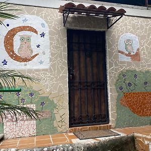 Owl House Hotel Piedades Exterior photo