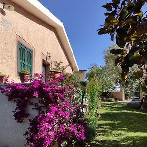 Alloggio Turistico Monte Santa Maria Pension Poggio Nativo Exterior photo