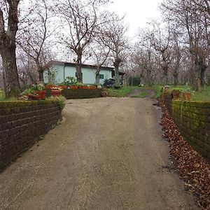 Chalet Immerso Nel Bosco Villa Melfi Exterior photo