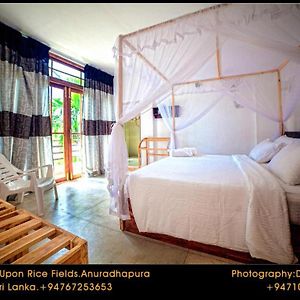 Heaven Upon Rice Fields Bed and Breakfast Anuradhapura Exterior photo