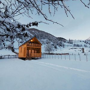 Wood House Pension Mestia Exterior photo