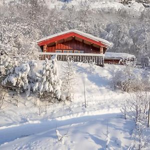 Awesome Home In Hemsedal With Wifi Exterior photo