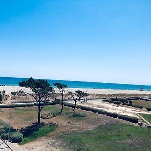 Sur La Plage, Vue Sur Mer, Spacieux T3 Au Calme Appartement Saint-Cyprien  Exterior photo