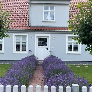 Haus Vicus Appartement Greifswald Exterior photo