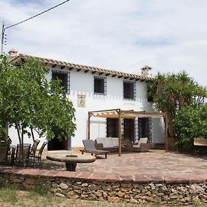 Mas De Paco, Chimenea, Barbacoa Y Piscina Villa Vall dʼAlba Exterior photo