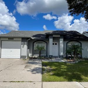 Cozy 3 Bedroom Home Close To Everything In Tampa! Exterior photo