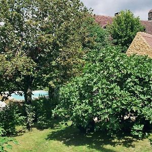 Landhaus Mit Pool Petite Mombette Villa Cénac-et-Saint-Julien Exterior photo