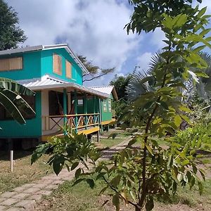 Hotel Yellow Home Providencia Isla South West Bay Exterior photo