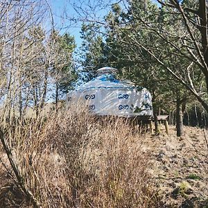 Elf Yurt - Yurtopia Hotel Aberystwyth Exterior photo