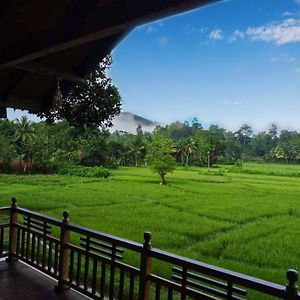 Rainforest Nest Hotel Deniyaya Exterior photo