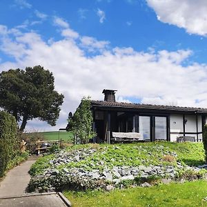 Ferienhaus Lena Im Sauerland Direkt Am Hennesee Villa Meschede Exterior photo