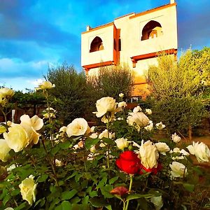 Riad Tazawa Hotel Ibrahene Exterior photo