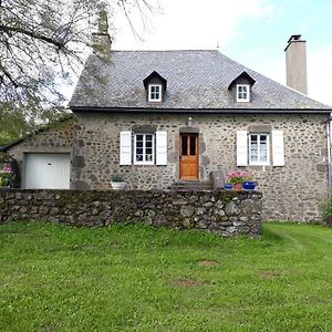 Gite Du Bosquet Pays De Salers Cantal Villa Sainte-Eulalie  Exterior photo