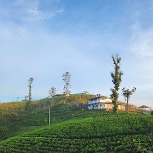 Tranquil Ridge Hilltop Bungalow Bed and Breakfast Hatton Exterior photo