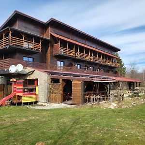 Pensiunea Ana Vistisoara Bed and Breakfast Exterior photo