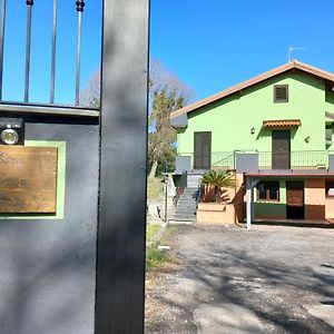 Etna Green House Villa Zafferana Etnea Exterior photo