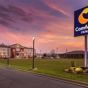 Comfort Inn Us Hwy 80 Demopolis Exterior photo