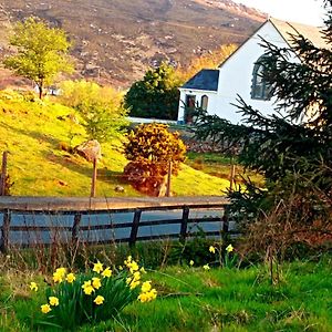 Donegal Cottage Donegal Town Exterior photo