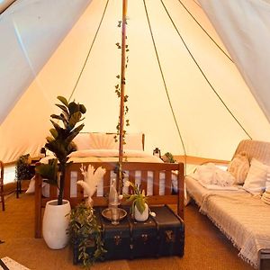 Fen Meadows Glamping - Luxury Cabins And Bell Tents Cambridge  Exterior photo