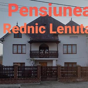 Pensiunea Rednic Lenuta Hotel Giulesti Exterior photo